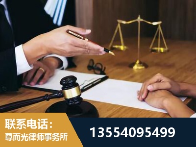岳麓-刑事诉讼律师